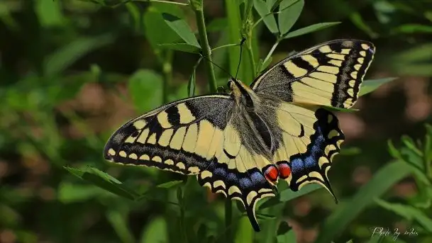 Zdjęcia: Miłośnicy Mazur - magia w zdjęciach Grzegorza - zdjęcie 7