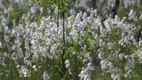 Zdjęcia: Miłośnicy Mazur - magia w zdjęciach Grzegorza - zdjęcie 4