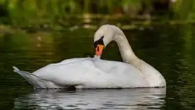 Zdjęcia: Miłośnicy Mazur - Zwykłe, czy niezwykłe... życie - zdjęcie 38