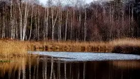 Zdjęcia: Miłośnicy Mazur - Zwykłe, czy niezwykłe... życie - zdjęcie 30