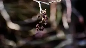 Zdjęcia: Miłośnicy Mazur - Zwykłe, czy niezwykłe... życie - zdjęcie 29