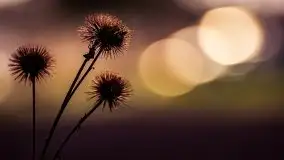 Zdjęcia: Miłośnicy Mazur - Zwykłe, czy niezwykłe... życie - zdjęcie 27