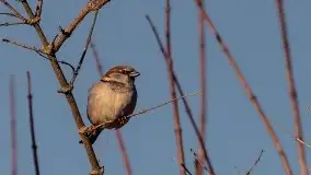 Zdjęcia: Miłośnicy Mazur - Zwykłe, czy niezwykłe... życie - zdjęcie 22