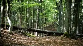 Zdjęcia: Miłośnicy Mazur - Zwykłe, czy niezwykłe... życie - zdjęcie 11