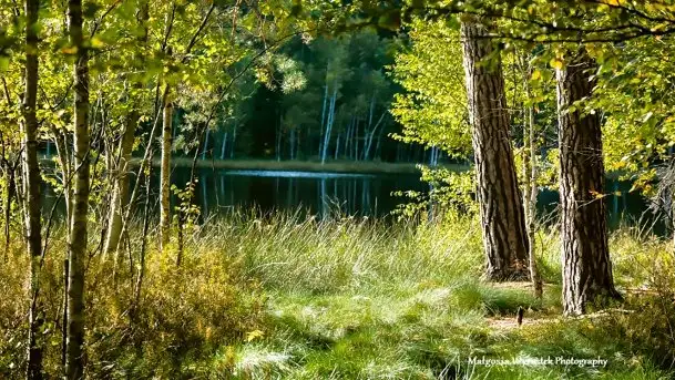 Zdjęcia: Miłośnicy Mazur - Zwykłe, czy niezwykłe... życie - zdjęcie 10