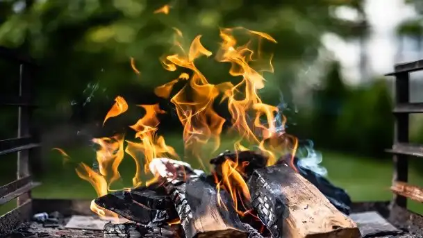 Zdjęcia: Miłośnicy Mazur - Zwykłe, czy niezwykłe... życie - zdjęcie 9