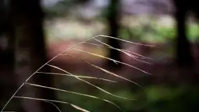 Zdjęcia: Miłośnicy Mazur - Zwykłe, czy niezwykłe... życie - zdjęcie 1