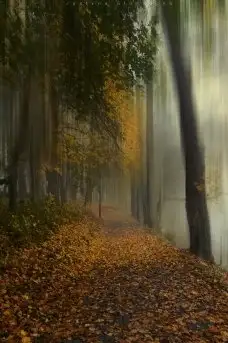 Zdjęcia: Miłośnicy Mazur - Olecko i okolice na zdjęciach Justyny - zdjęcie 8