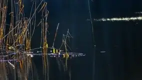 Zdjęcia: Ferie za pasem a zasp ze śniegu nie widać - zobacz zdjęcia - zdjęcie 3