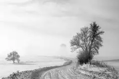 Zdjęcia: Miłośnicy Mazur - zobacz piękno niesamowitej mazurskiej przyrody - zdjęcie 51