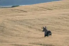 Zdjęcia: Miłośnicy Mazur - zobacz piękno niesamowitej mazurskiej przyrody - zdjęcie 30