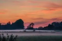 Zdjęcia: Miłośnicy Mazur - zobacz piękno niesamowitej mazurskiej przyrody - zdjęcie 28