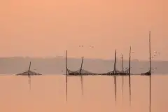 Zdjęcia: Miłośnicy Mazur - zobacz piękno niesamowitej mazurskiej przyrody - zdjęcie 11