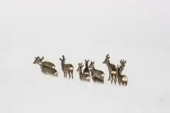 Zdjęcia: Miłośnicy Mazur - zobacz piękno niesamowitej mazurskiej przyrody - zdjęcie 10