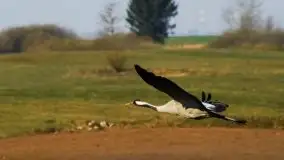 Zdjęcia: Miłośnicy Mazur, dzisiaj zdjęcia Stanisława Sielewicza - zdjęcie 29