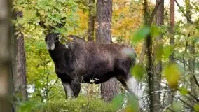 Zdjęcia: Miłośnicy Mazur, dzisiaj zdjęcia Stanisława Sielewicza - zdjęcie 27