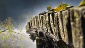 Zdjęcia: Miłośnicy Mazur, dzisiaj zdjęcia Stanisława Sielewicza - zdjęcie 18