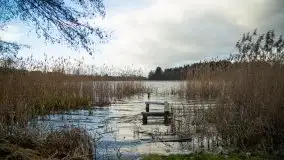 Styczniowe Wydminy bez śniegu w środku zimy - zdjęcie 53