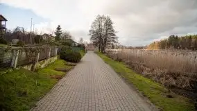 Styczniowe Wydminy bez śniegu w środku zimy - zdjęcie 48