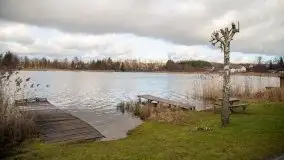 Styczniowe Wydminy bez śniegu w środku zimy - zdjęcie 47