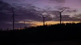 Styczniowe Wydminy bez śniegu w środku zimy - zdjęcie 13