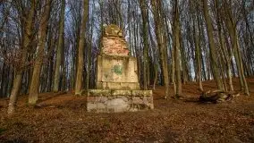 Las miejski w Giżycku, styczeń 2020 - zdjęcie 5