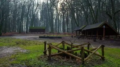 Las miejski w Giżycku, styczeń 2020