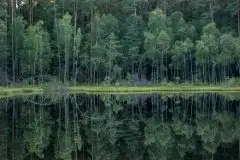 Zdjęcia: Miłośnicy Mazur - dusza Mazur na zdjęciach Piotra Mierzejewskiego - zdjęcie 12