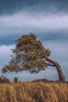 Zdjęcia: Miłośnicy Mazur - dusza Mazur na zdjęciach Piotra Mierzejewskiego - zdjęcie 27