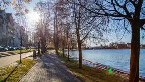 Ełk skąpany w lutowym słońcu - zdjęcie 10