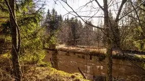 Zdjęcia: Mosty w Botkunach i Kiepojcach - tajemnicze i schowane w lasach - zdjęcie 39