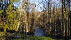 Zdjęcia: Mosty w Botkunach i Kiepojcach - tajemnicze i schowane w lasach - zdjęcie 37