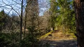 Zdjęcia: Mosty w Botkunach i Kiepojcach - tajemnicze i schowane w lasach - zdjęcie 36