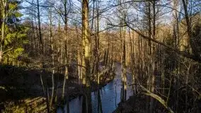 Zdjęcia: Mosty w Botkunach i Kiepojcach - tajemnicze i schowane w lasach - zdjęcie 35