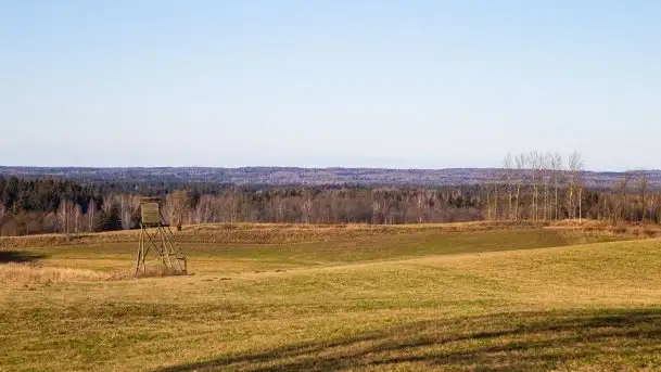 Zdjęcia: Mosty w Botkunach i Kiepojcach - tajemnicze i schowane w lasach