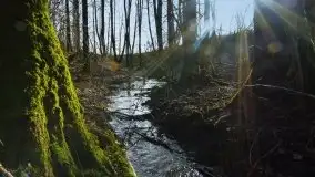 Mazurska przyroda budzi się do życia na zdjęciach Stanisława Sielewicza - zdjęcie 17