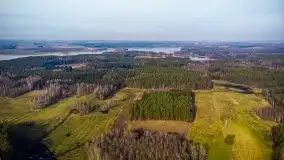 Mazurski las w okolicach Kruklina, luty 2020 - zdjęcie 3