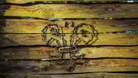 Mazurski las w okolicach Kruklina, luty 2020 - zdjęcie 18