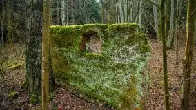 Mazurski las w okolicach Kruklina, luty 2020 - zdjęcie 55