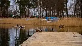 Orzysz i okolice w lutowych kadrach 2020 - zdjęcie 15