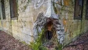 Wilczy Szaniec w Gierłoży zimą jeszcze lepiej widoczny - zdjęcie 22