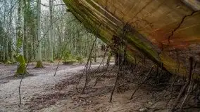 Wilczy Szaniec w Gierłoży zimą jeszcze lepiej widoczny - zdjęcie 94