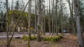 Wilczy Szaniec w Gierłoży zimą jeszcze lepiej widoczny - zdjęcie 105