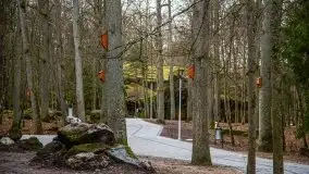 Wilczy Szaniec w Gierłoży zimą jeszcze lepiej widoczny - zdjęcie 107