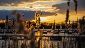 Zachód słońca widoczny w Sztynorcie, 27 luty 2020 - zdjęcie 2