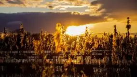 Zachód słońca widoczny w Sztynorcie, 27 luty 2020 - zdjęcie 8