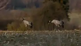 Wiosna w lutym na zdjęciach Stanisława Sielewicza - zdjęcie 16