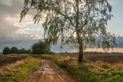 Zdjęcia: Mazurskie pejzaże na zdjęciach Janka Olchówki - zdjęcie 12