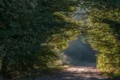 Zdjęcia: Mazurskie pejzaże na zdjęciach Janka Olchówki - zdjęcie 8