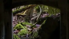 W poszukiwaniu wiosny, okolice Dobry i jez. Dobskiego - zdjęcie 12